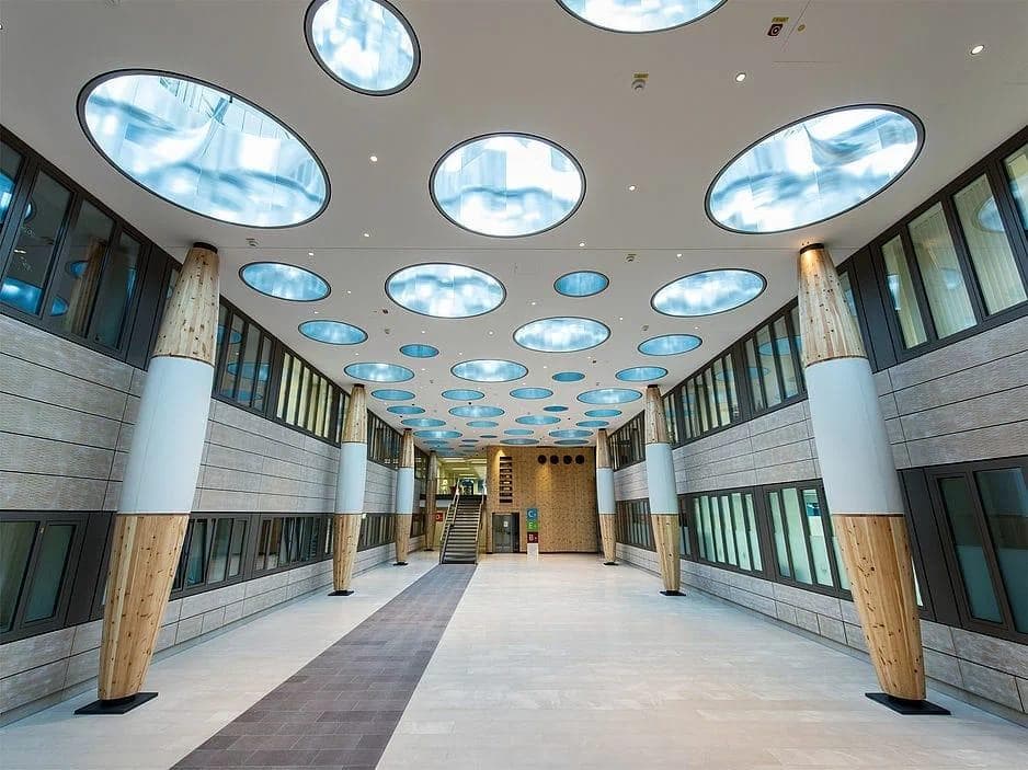 Ceiling detail showing circular daylight apertures and integrated PUNTEO® LED downlights in hospital interior